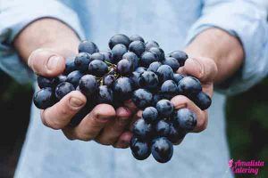 alimento realfood desayuno